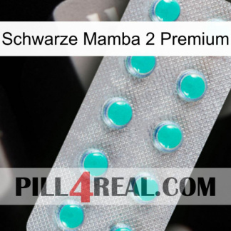 Black Mamba 2 Premium 28